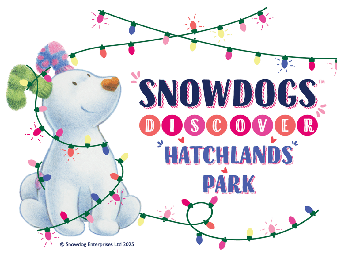 Snowdog dazzles at Hatchlands Park Christmas Trail
